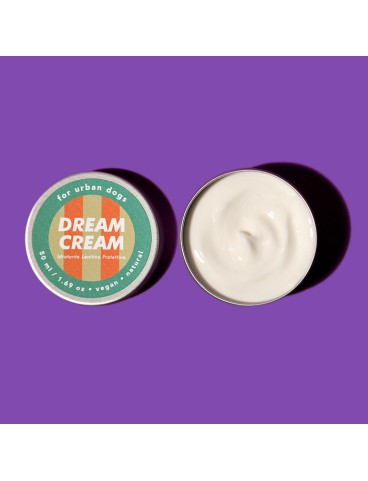 Dream Cream Jampy