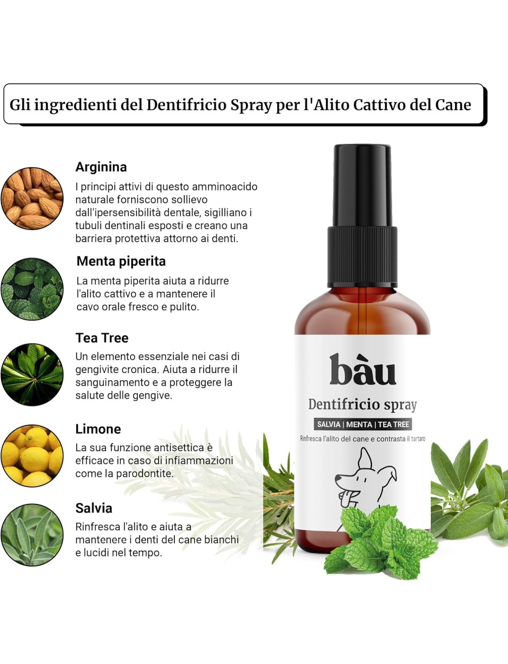 Bàu Cosmesi Dentifricio Spray per Cani, Pulizia Denti Cane Profonda, Spray Alito Cane Sgradevole, Previene Tartaro, Dentifricio