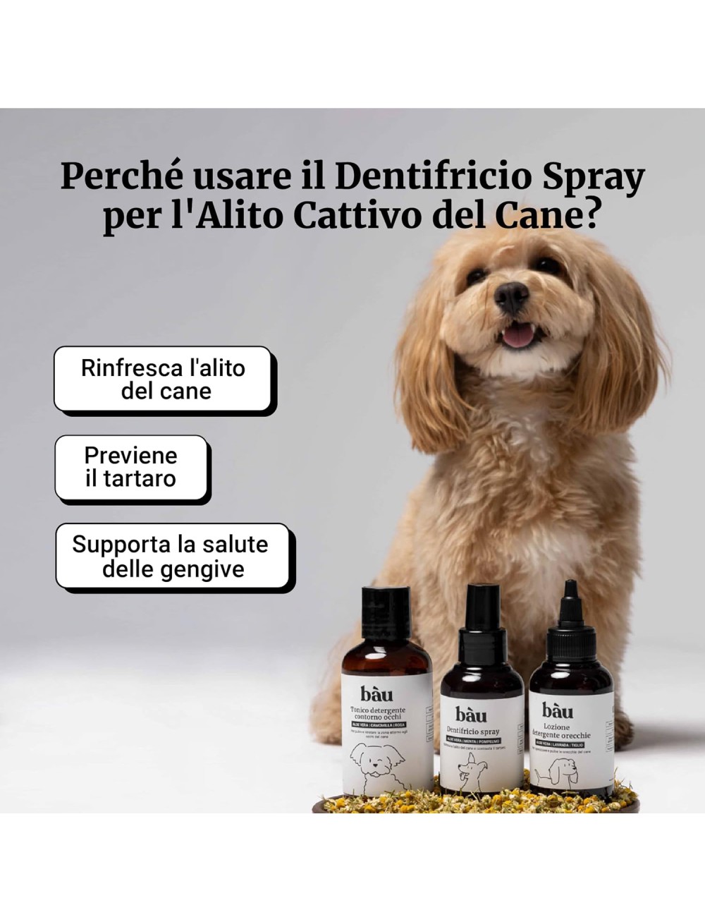 Bàu Cosmesi Dentifricio Spray per Cani, Pulizia Denti Cane Profonda, Spray Alito Cane Sgradevole, Previene Tartaro, Dentifricio