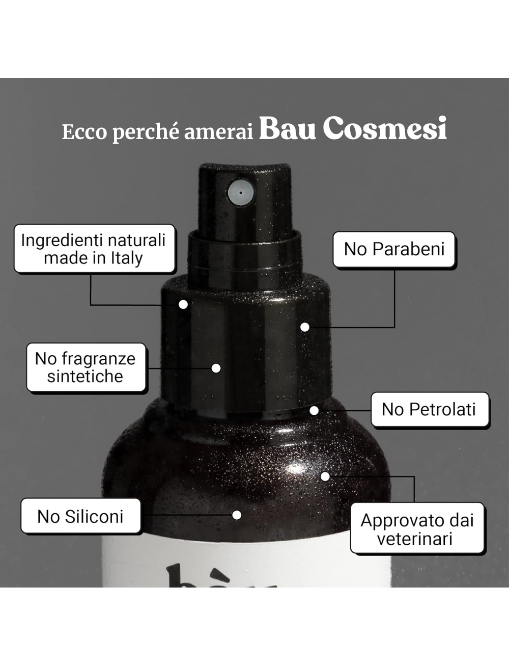 Bàu Cosmesi Dentifricio Spray per Cani, Pulizia Denti Cane Profonda, Spray Alito Cane Sgradevole, Previene Tartaro, Dentifricio