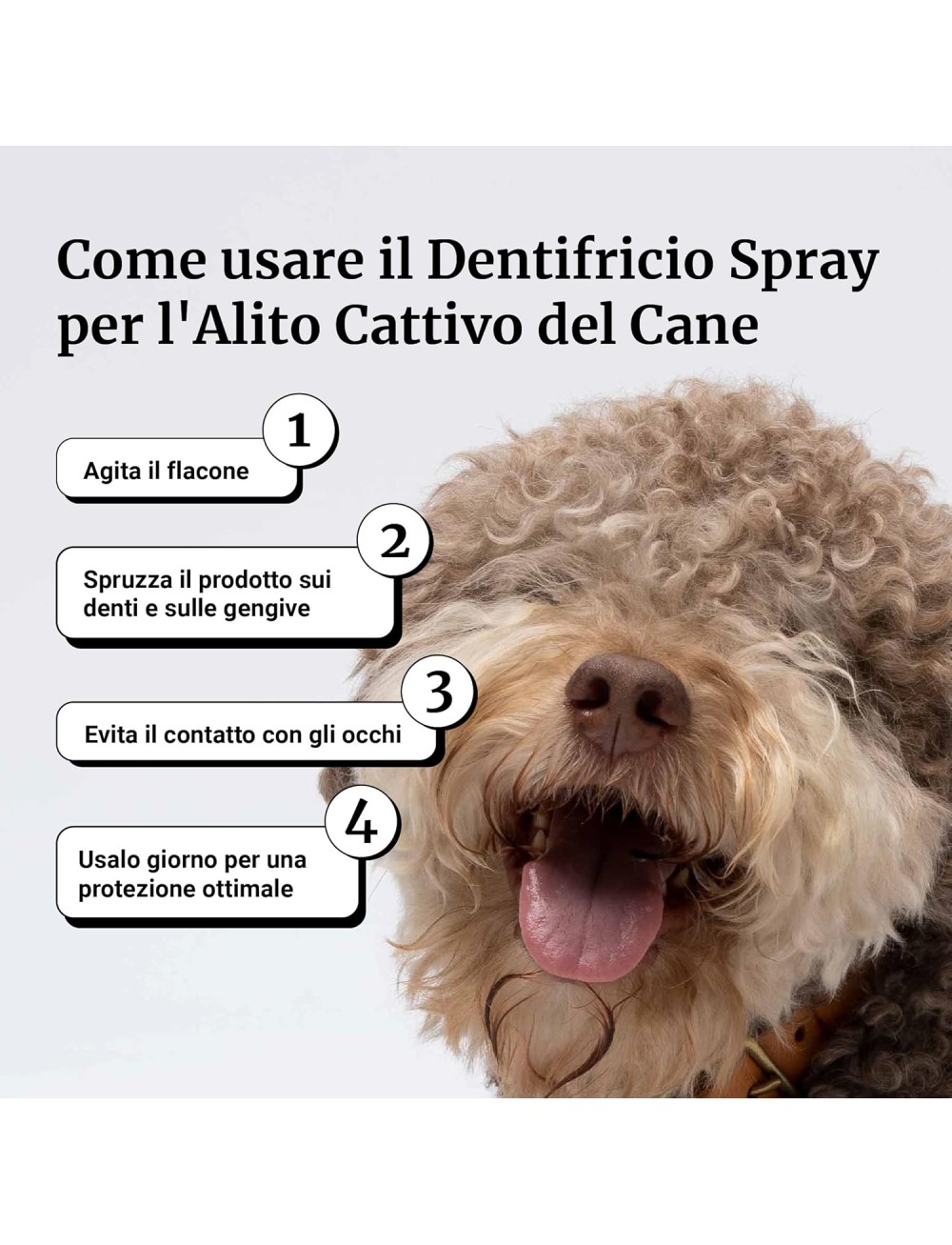 Bàu Cosmesi Dentifricio Spray per Cani, Pulizia Denti Cane Profonda, Spray Alito Cane Sgradevole, Previene Tartaro, Dentifricio