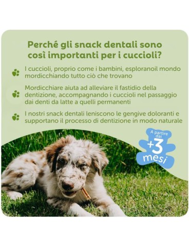 WHIMZEES Stix per Cuccioli XS/S, 28 Pezzi – Taglia XS & S, Snack per Cuccioli di Taglia Molto Piccola/Piccola, Naturali & Senza