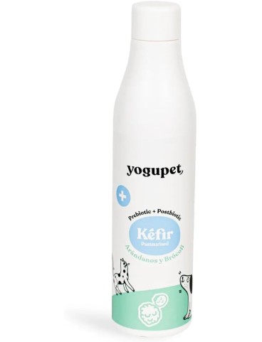 KEFIR DIGESTIVO RANDANI E BROCOLI 200 ML